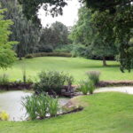 Hjemmeside 7